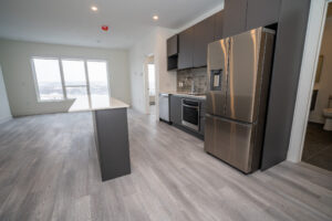 Modern kitchen and living area