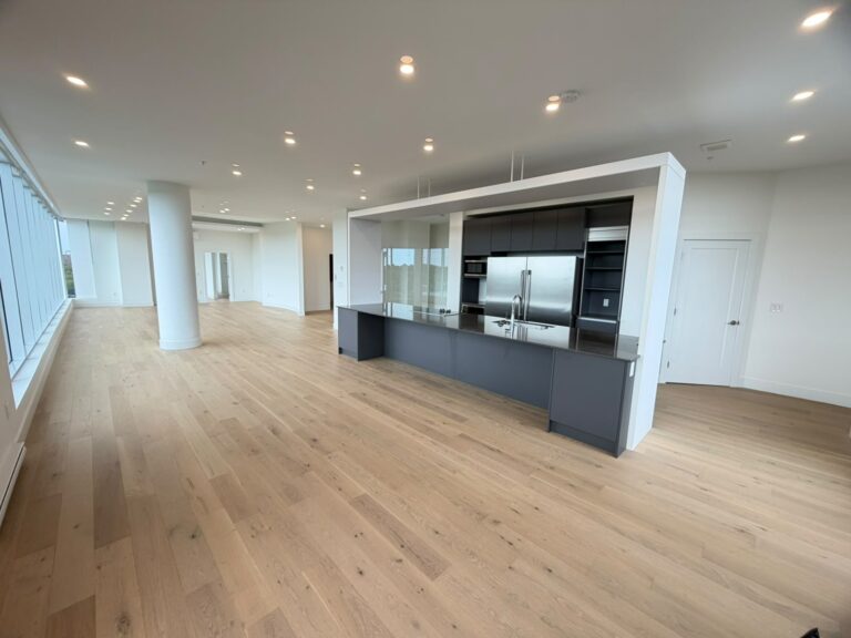 Modern kitchen and living space